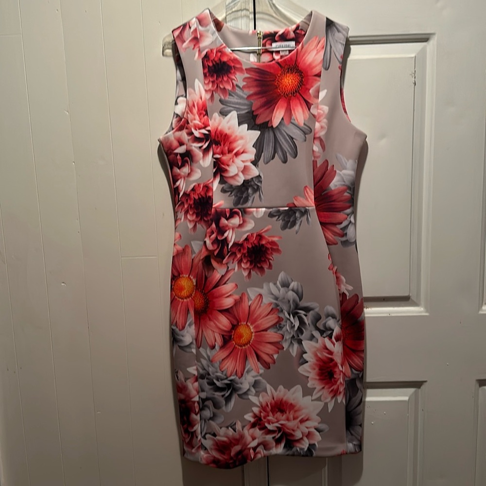 Calvin Klein multi color dress. Base color- dark beige with red/pink/gray flower